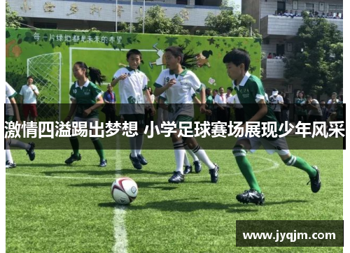 激情四溢踢出梦想 小学足球赛场展现少年风采